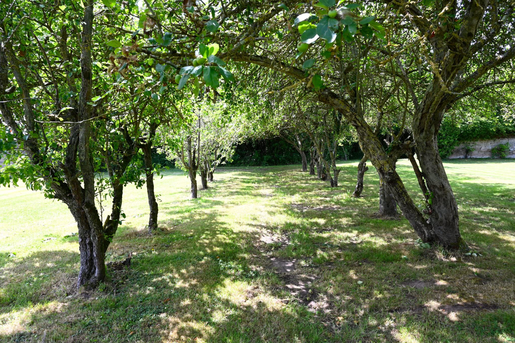 Escape to the Chateau de la Vigne | Loire Valley, France