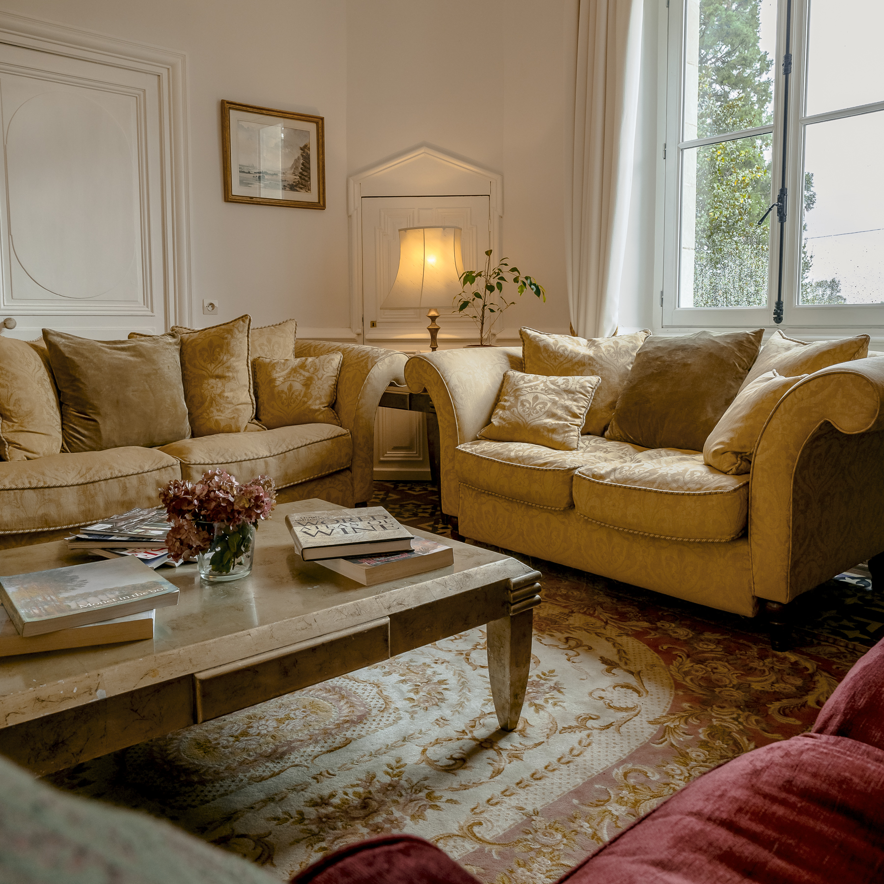 Salon-chateau-de-la-vigne-1