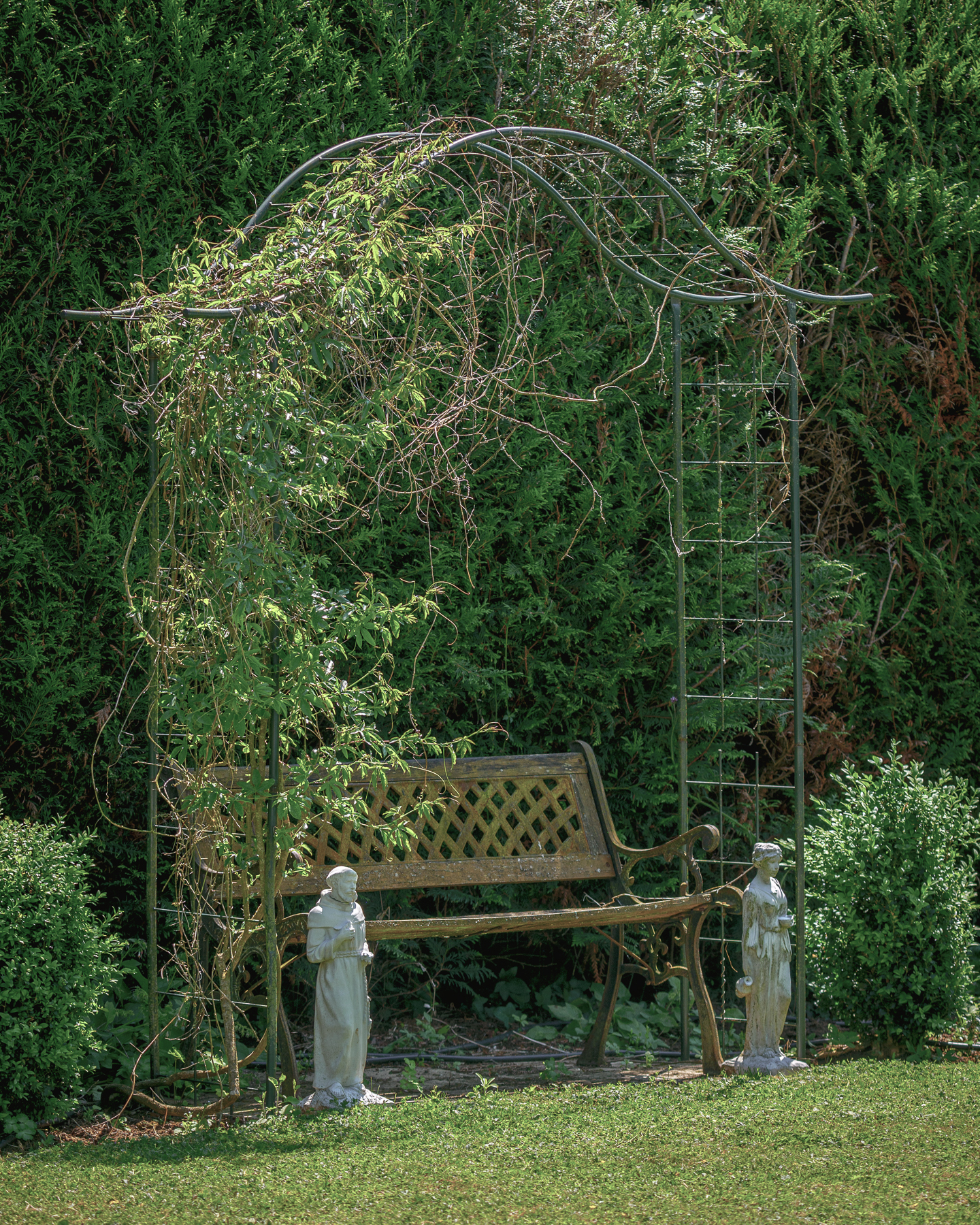 Arch bench in swimming pool garden at Chateau de la Vigne